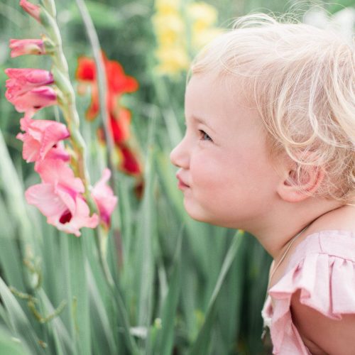 Mädchen in Blumenfeld bei Kindershooting von Siebenschön Photography in der Nähe von Oelde