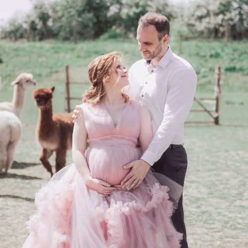 Babybauchshooting auf der Alpakafarm - Schwangerschaftsfotos fotografiert von Lisa Berger | Siebenschön Photography in Ahlen