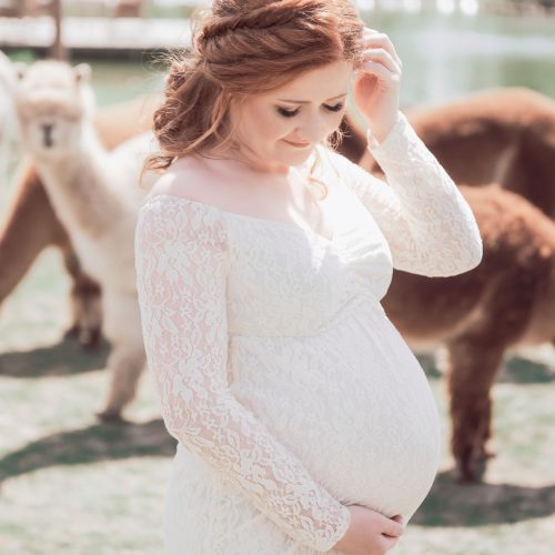 Babybauchshooting auf der Alpakafarm - Schwangerschaftsfotos fotografiert von Lisa Berger | Siebenschön Photography in Beckum